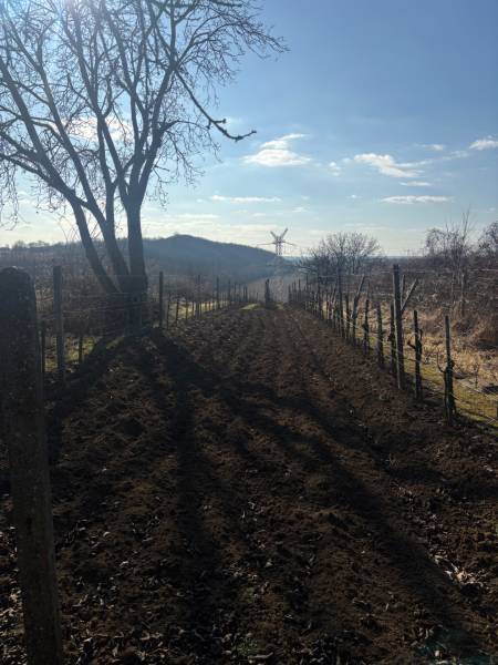 03 - PODLUŽANY.JPG