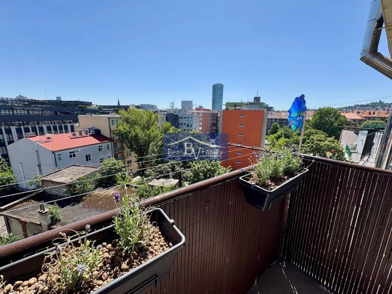 08 - ŠANCOVÁ.jpg